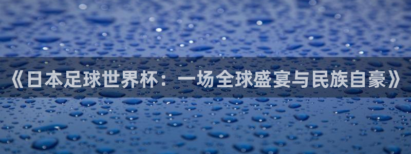 世界杯预选赛亚洲：《日本足球世界杯：一场全球盛宴与民族自豪》