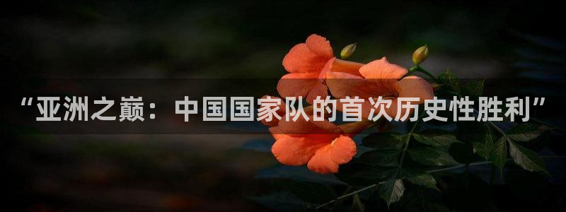 世界杯预选赛2026：“亚洲之巅：中国国家队的首次历史性胜利”