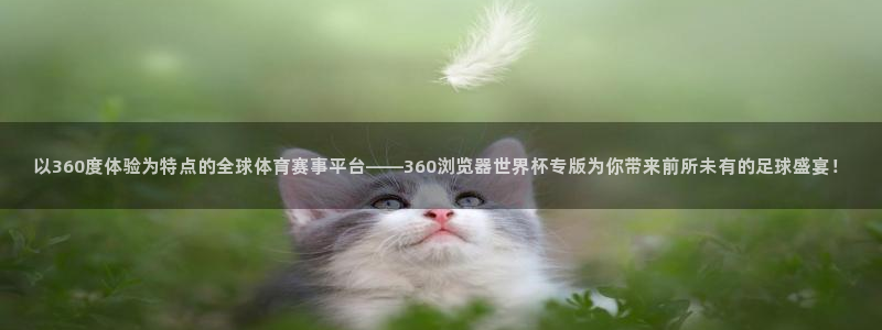 世界杯对阵图2026：以360度体验为特点的全球体育赛事平台——360浏览器世界杯专版为你带来前所未有的足球盛宴！