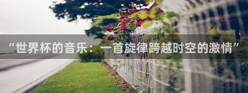 足球世界杯赛程：“世界杯的音乐：一首旋律跨越时空的激情”