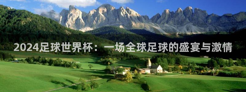 足球世界杯预选赛：2024足球世界杯：一场全球足球的盛宴与激情