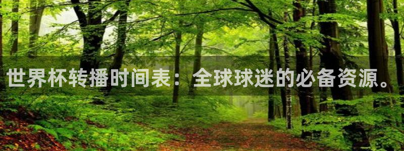 2026世界杯赛程表完整版：世界杯转播时间表：全球球迷的必备资源。