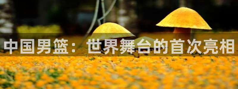 世界杯时间：中国男篮：世界舞台的首次亮相