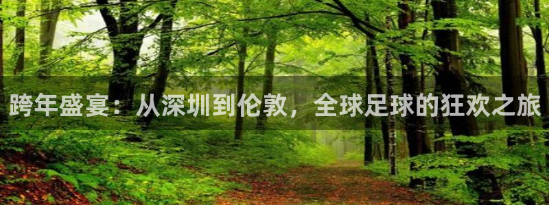 足球世界杯2026：跨年盛宴：从深圳到伦敦，全球足球的狂欢之旅