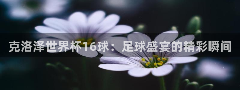 2026世界杯32强对阵图表：克洛泽世界杯16球：足球盛宴的精彩瞬间
