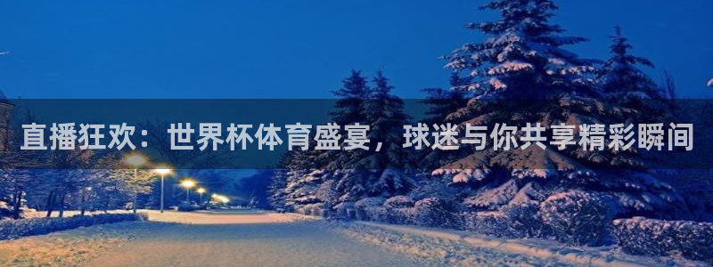 2006世界杯：直播狂欢：世界杯体育盛宴，球迷与你共享精彩瞬间