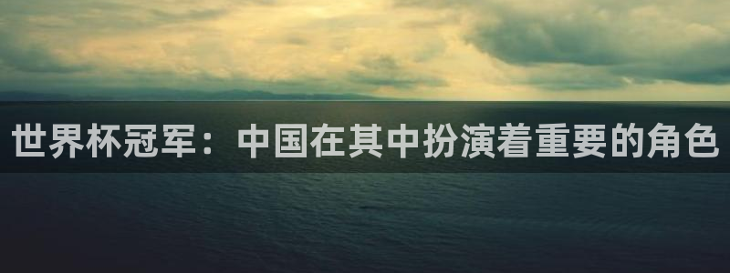 世预赛直播：世界杯冠军：中国在其中扮演着重要的角色